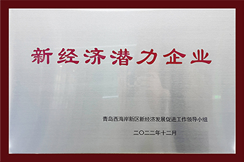 新經(jīng)濟02.jpg