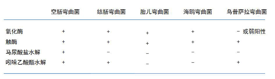 未標(biāo)題-13.jpg