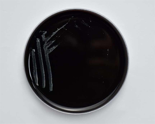 未標(biāo)題-1.jpg