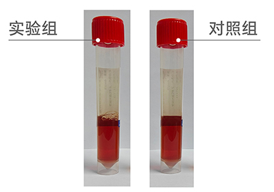 未標(biāo)題-1.jpg