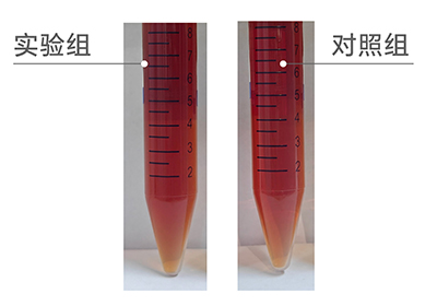 未標(biāo)題-1.jpg