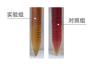 未標(biāo)題-1.jpg